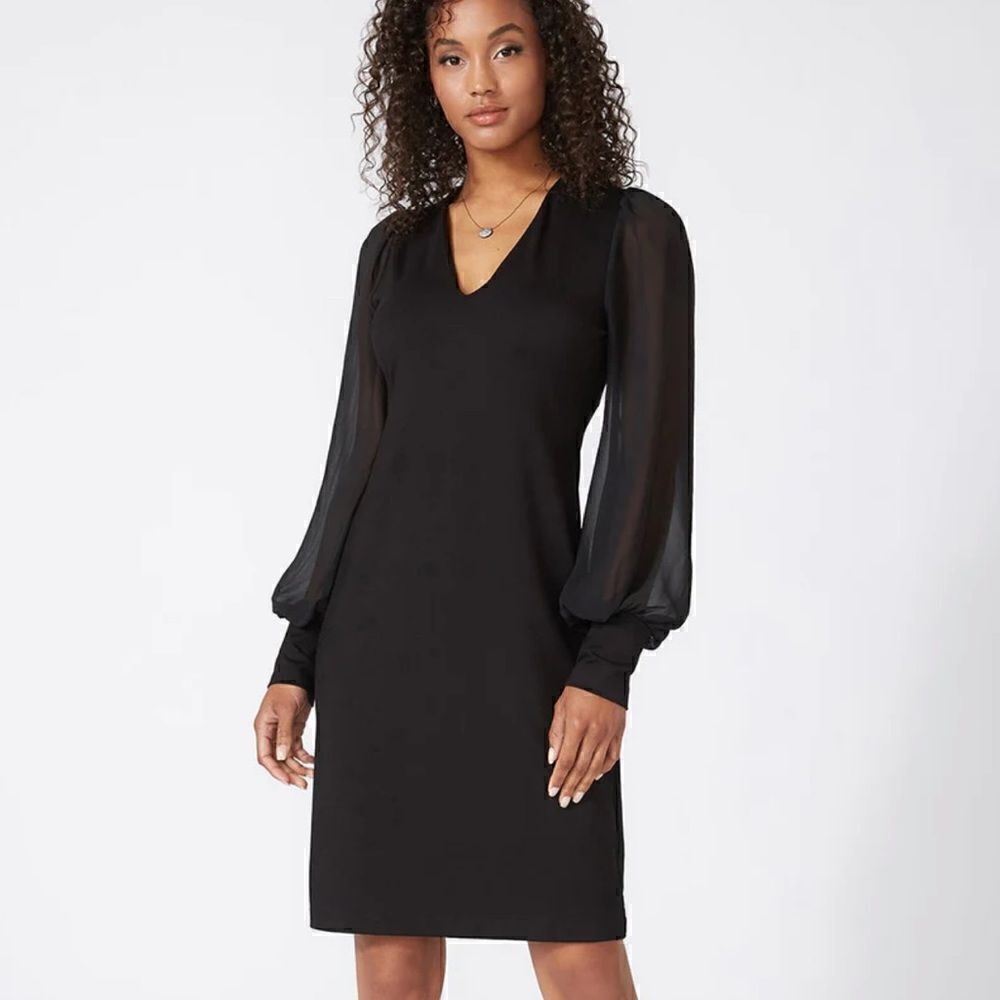 Sheer Sleeve Dress 